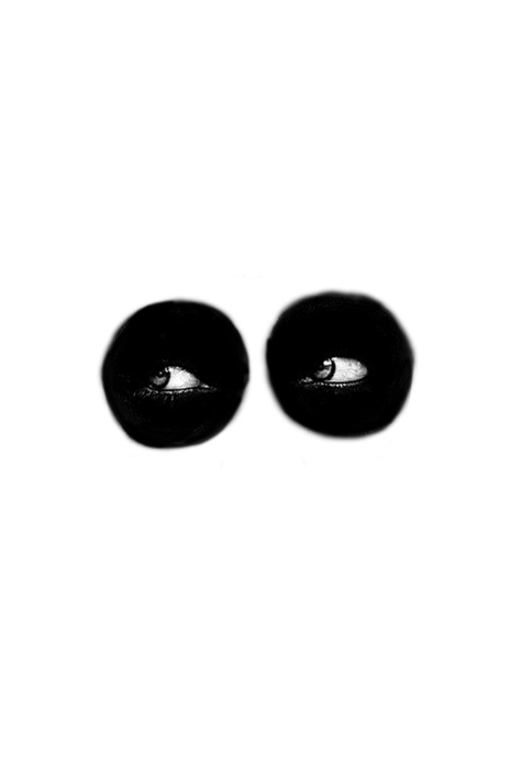 raccoon